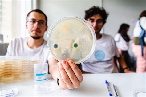 Two research scientists hold a petri dish with bacterial growth during ...