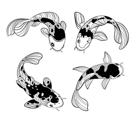 Koi Fish Drawing 12697163 Vector Art at Vecteezy