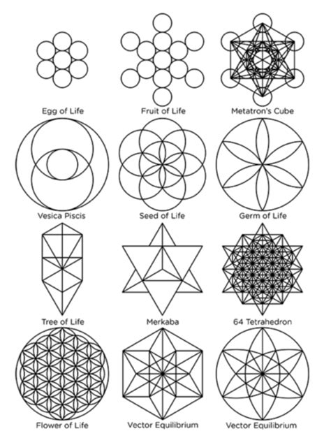 Flower Of Life Symbol History | Best Flower Site