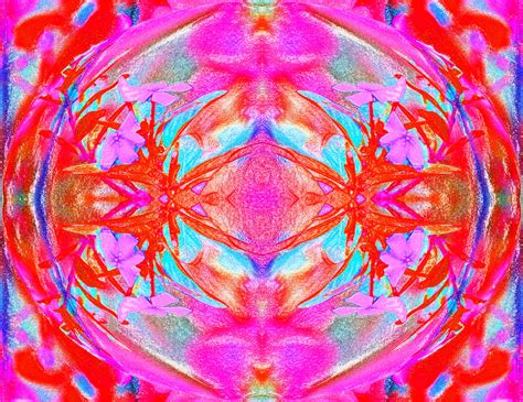 Funky Pink Design Free Stock Photo - Public Domain Pictures