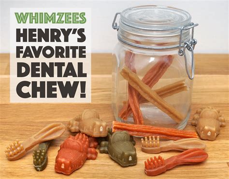 Whimzees Chew Review: Henry's Favorite Dental Chew! - The Broke Dog