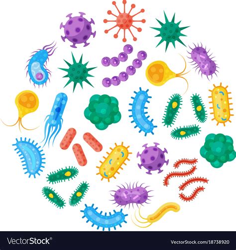 Food spoilage & b. Sources of food spoilage micro-organisms