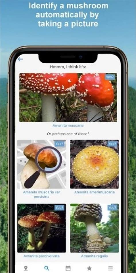 7 Best Mushrooms Identification Apps for Android & iOS | Freeappsforme - Free apps for Android ...