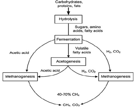 Anaerobic digestion scheme | Download Scientific Diagram