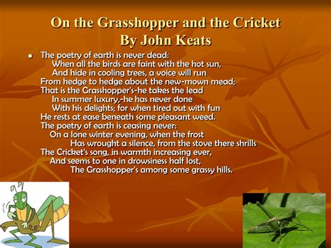 On the Grasshopper and the Cricket