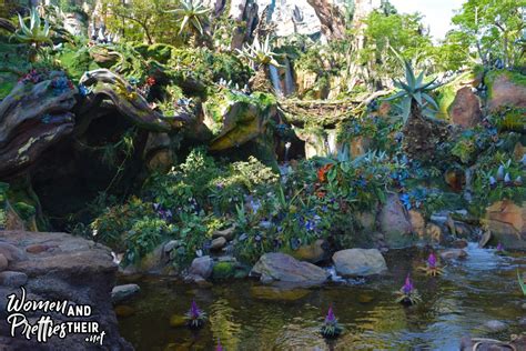 My journey on Disney's Pandora – World of Avatar rides | Avatar Flight of Passage and Na'vi ...