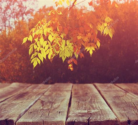 Image of front rustic wood boards and background of fall leaves in forest — Stock Photo © tomert ...