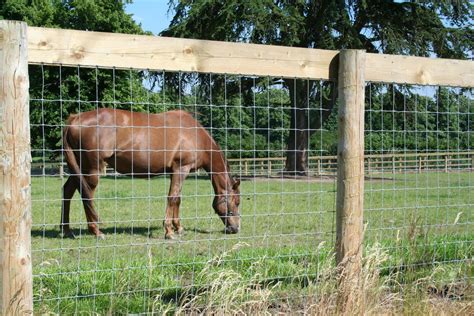 Why Horse X™ fence® wire | McVeigh Parker Farming, Fencing and Equestrian News.