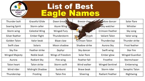 300+ Best Eagle Names | Famous Eagle Names - Vocabulary Point