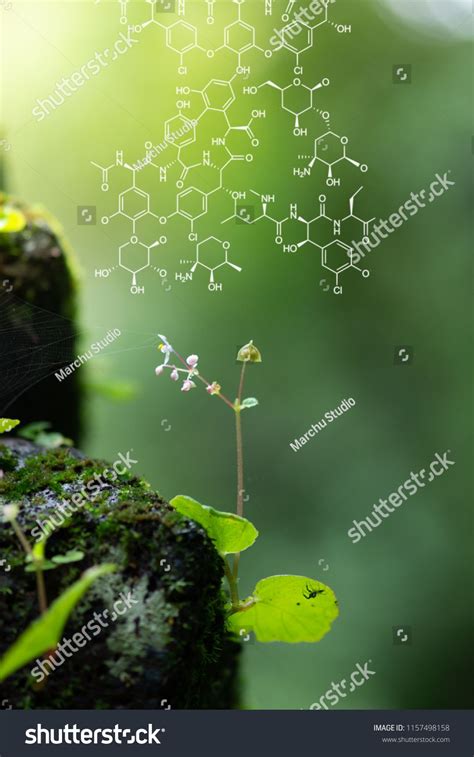 Plants background with biochemistry structure. Copy space using as background or input any text ...