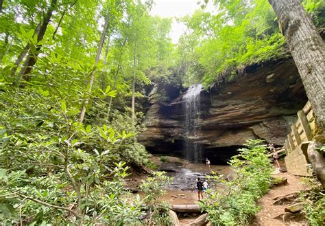 Pisgah National Forest - Welcome To Hendersonville, NC