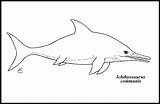 Ichthyosaurus Coloring Pages Sketch Coloring Page  Vrogueco sketch template