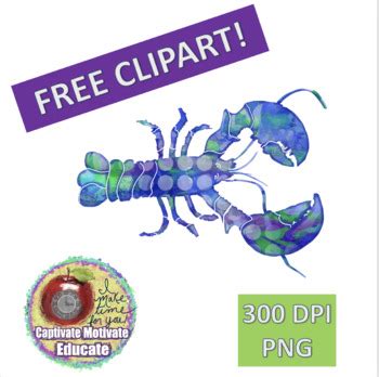 FREE CLIPART--MAINE LOBSTER PNG, 300 DPI by Captivate Motivate Educate