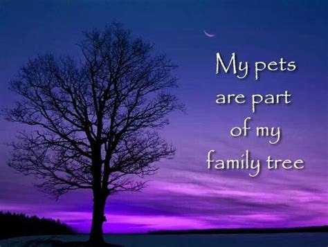 Pets Are Like Family Quotes. QuotesGram