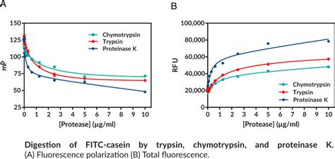 Protease Activity Assay Kit