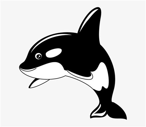 Cartoon Whale Png Free Download Clip Art Free Clip - Cute Killer Whale ...