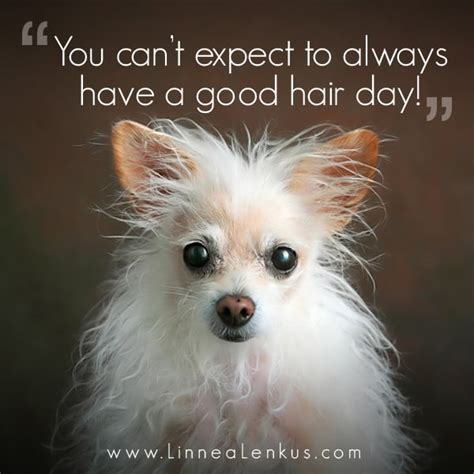 Bad Hair Day Funny Quotes. QuotesGram