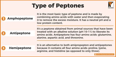 What is Peptone Powder? Its Composition, Types, and Uses