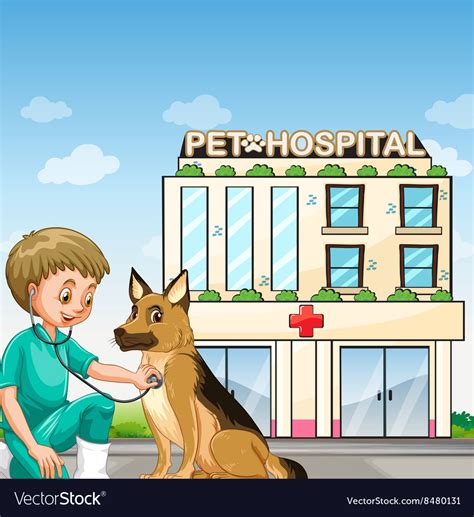 Vet and dog at the animal hospital Royalty Free Vector Image