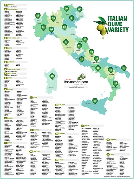 Italian Olive Varieties Map | Extra Virgin Olive Oils | Italyabroad.com