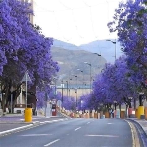 Abha City Tour | My Saudi Tours