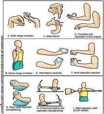 Eccentric Loading Exercises For Tennis Elbow – Online degrees