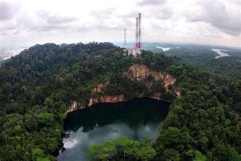 The ST Guide To... visiting Singapore's nature reserves | The Straits Times