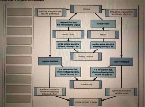 Solved Complete the concept map to explain how positive and | Chegg.com