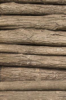 Wooden Logs Texture