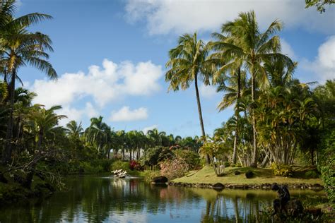 na aina kai - Island Weddings & Blessings