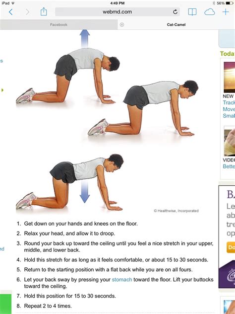 Pin on Lower Back Excersizes