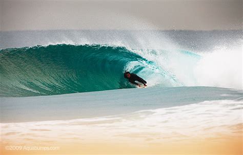 Shark Attack at Bondi » Aquabumps Surf Photography Bondi Beach Surf Report