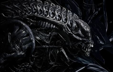 Wallpaper teeth, stranger, Giger, Alien images for desktop, section ...