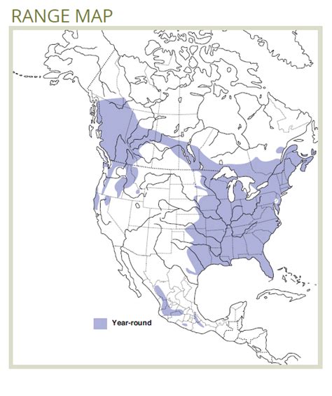 Barred Owl Forestry Fact Sheet - fRI Research