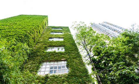 Green buildings could be the solution to local and global problems ...