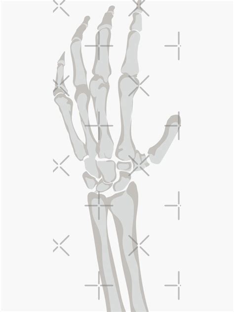 "Skeleton Hand Reaching Out" Sticker for Sale by MiaoMiaoYu | Redbubble