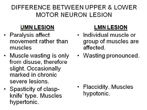 Upper and lower motor neuron