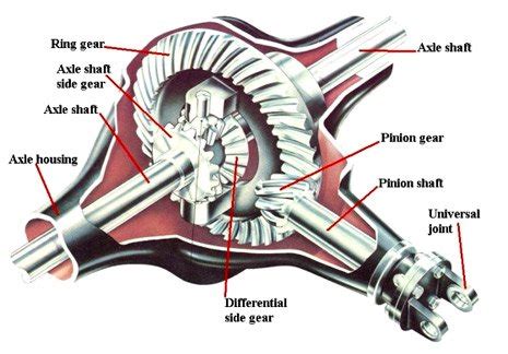 Rear Differential Parts, Functions, and Buying Guide - My Car Makes Noise