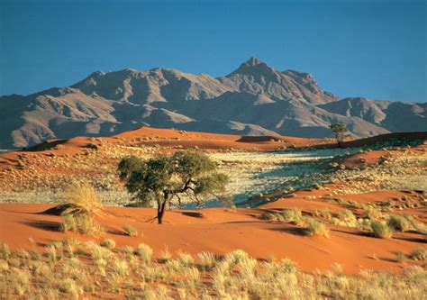 Kalahari-Desert | Deserts of the world, Africa travel, Landscape photos