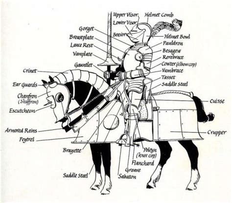 Pemberley Dreams | Knight armor, Horse armor, Armor