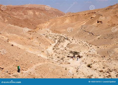 Hiking in Negev desert. stock photo. Image of group - 103515410