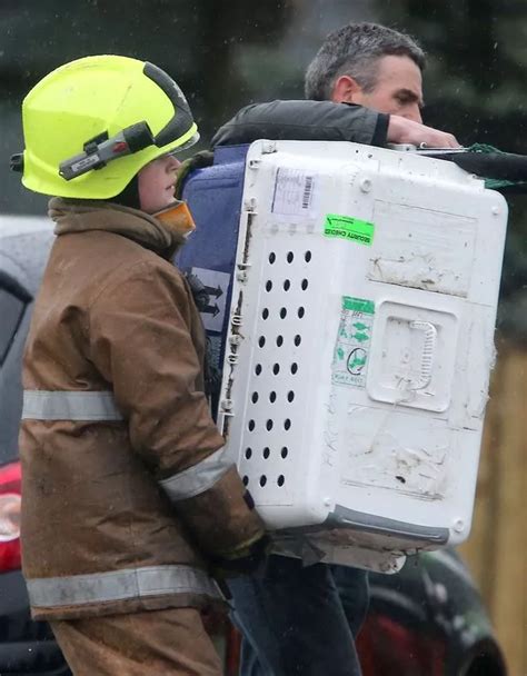 Five Sisters Zoo fire: zookeeper is devastated after blaze rips through tropical house killing ...