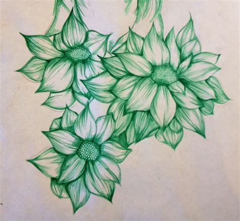 Flower illustration created with green biro pen | Biro drawing, Pen ...