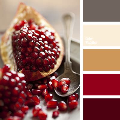 color of pomegranate | Color Palette Ideas