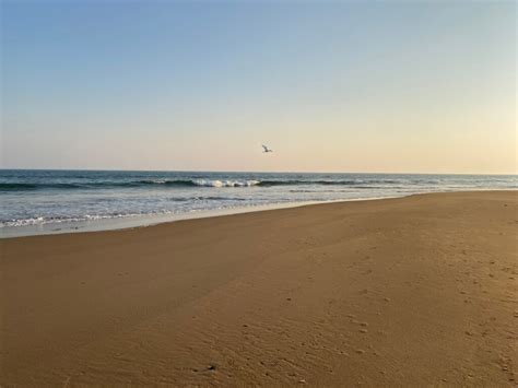 Puri Sea Beach or Golden Beach: History, Things to Do, How to Reach, and many more! - InBhubaneswar