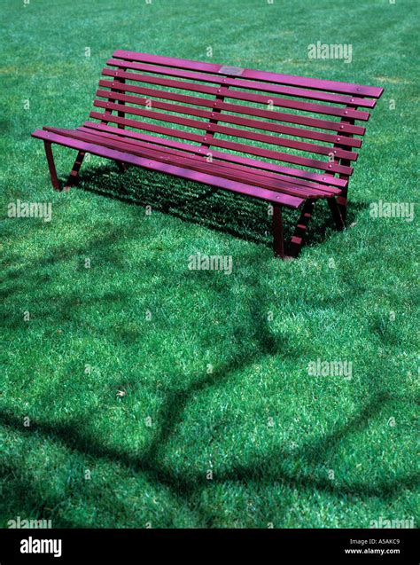 Empty park bench Stock Photo - Alamy