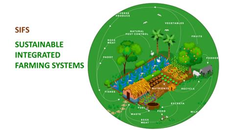 Small farms the centre of a sustainable food system - Welthungerhilfe