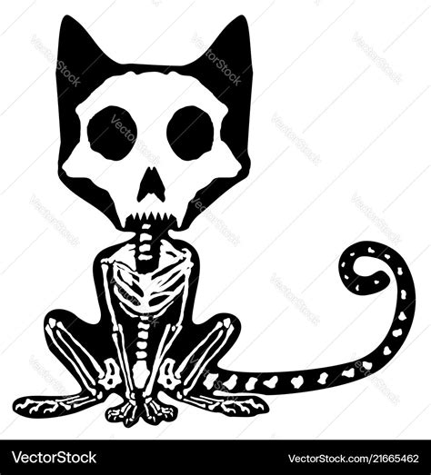 Cat skeleton contour cartoon Royalty Free Vector Image