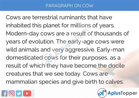 Cow Essay Paragraph - All About Cow Photos