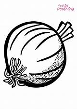 Easy Printable Onion Coloring Pages For Kids sketch template